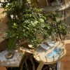 Bonsai treehouse
